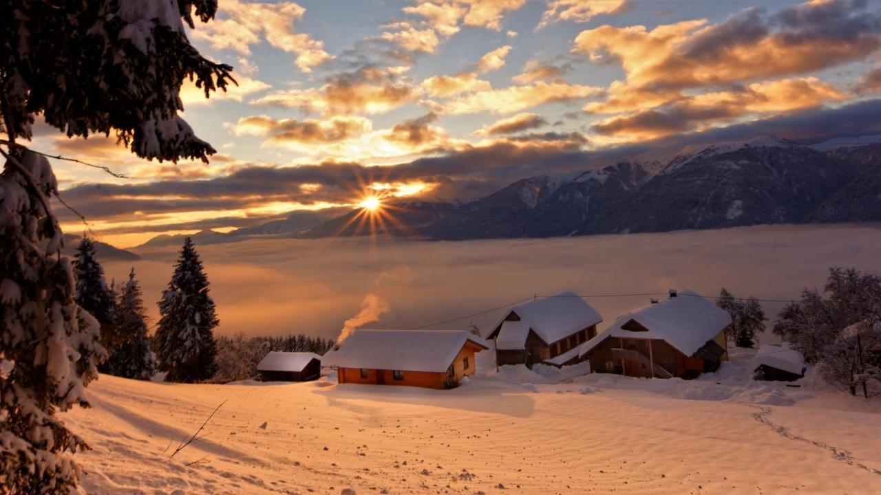 Panoramahof Am Goldberg Daire Dellach  Dış mekan fotoğraf