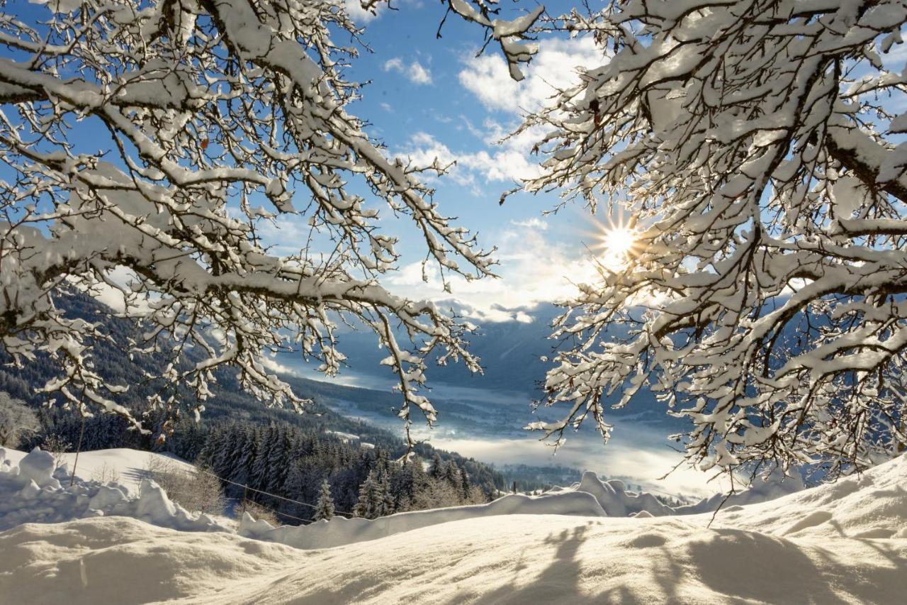 Panoramahof Am Goldberg Daire Dellach  Dış mekan fotoğraf