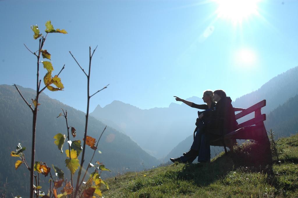 Panoramahof Am Goldberg Daire Dellach  Dış mekan fotoğraf